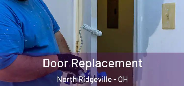 Door Replacement North Ridgeville - OH