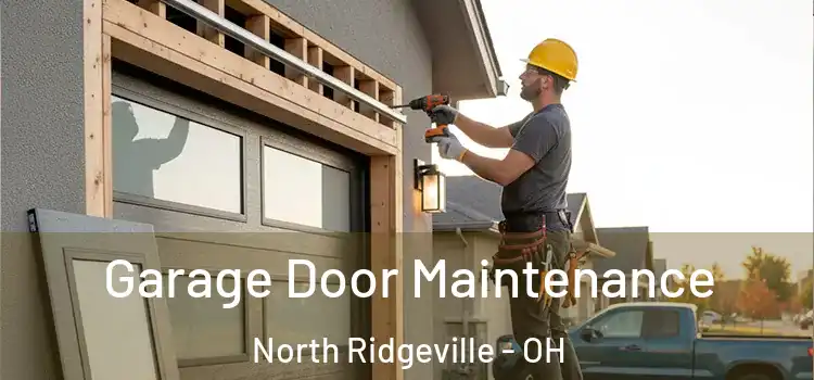 Garage Door Maintenance North Ridgeville - OH