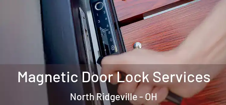 Magnetic Door Lock Services North Ridgeville - OH