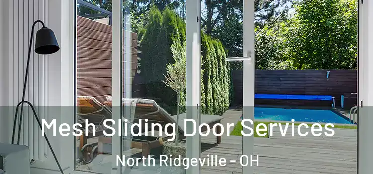 Mesh Sliding Door Services North Ridgeville - OH